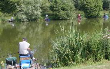 Match Fishing at Barford Lakes